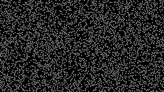 Exploring the Aesthetics of Abstract 2D Visualizations through Motion and Asymmetry