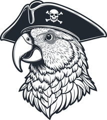 Parrot pirate, vector illustration - 742739527