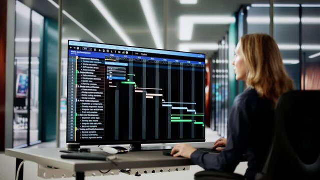 Data Analyst Woman Using Spreadsheet