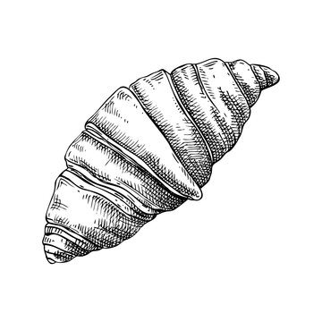 recommend clip art: Croissant vintage drawing. European food, pastry, dessert sketch. French bakery design element. France hand-drawn food illustration, NOT AI generated