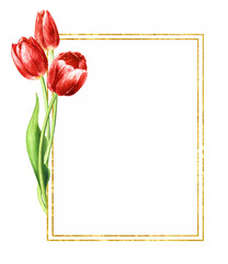 Red tulips bouquet, greeting card, template, Hand drawn watercolor  illustration isolated on white background