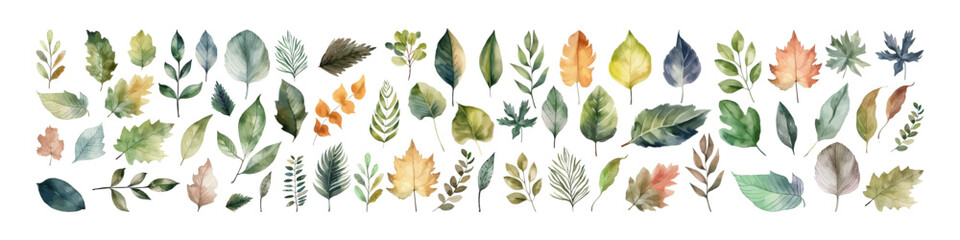 Watercolor vector set leaf. Fall illustration. Autumn season.