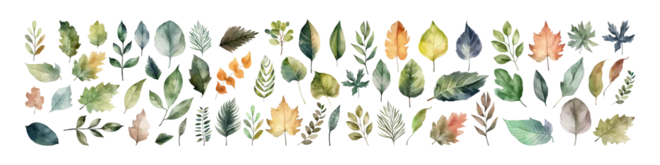 Fotobehang Watercolor vector set leaf. Fall illustration. Autumn season. © Ася Якимчук