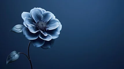 Foto op Aluminium bloom navy flower © PikePicture