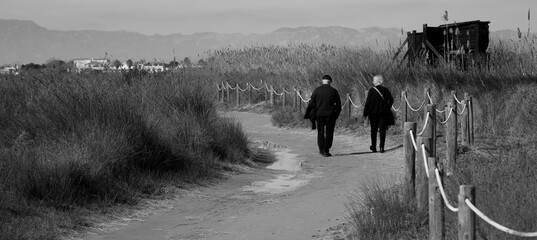 Elderly Wanderers: Strolling Through the Delta Reeds