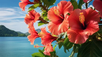 Deurstickers plumeria flowers hawaii © PikePicture