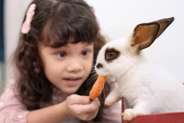 Cute little girl smiles happily with her rabbit pet, feeding a rabbit with carrots, selective focus, Easter symbol concept