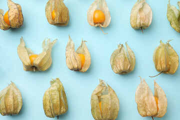 Ripe physalis fruits with calyxes on light blue background, flat lay