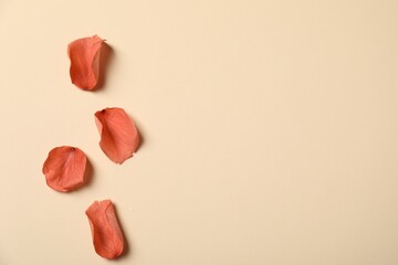 Red rose petals on beige background, flat lay. Space for text