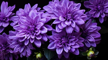 Foto op Canvas lilac purple flowers isolated © PikePicture