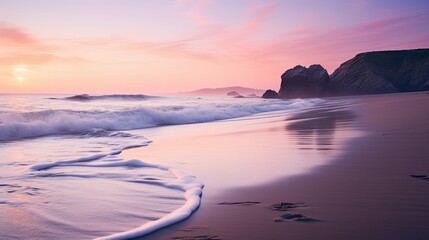 seagulls early morning beach california