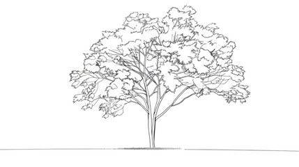 Continuous line drawing of tree on white background