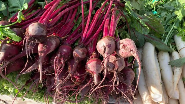 Red Beetroot is a fresh vegetable organic healthy food. Piles of beets at local market stalls.
