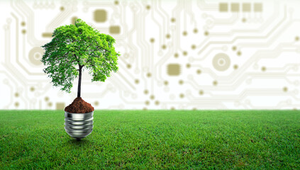 Tree with soil growing on Light bulb and green grass. Digital Convergence and Technology Convergence. Environmental Technology, Green Computing, Green Technology, Green IT, csr, and IT ethics Concept.