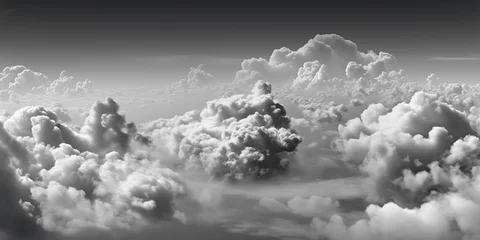 Foto auf Glas A monochrome photograph capturing a cloudy sky with cumulus clouds. The natural landscape features a tree against the atmospheric backdrop of the meteorological phenomenon © tino