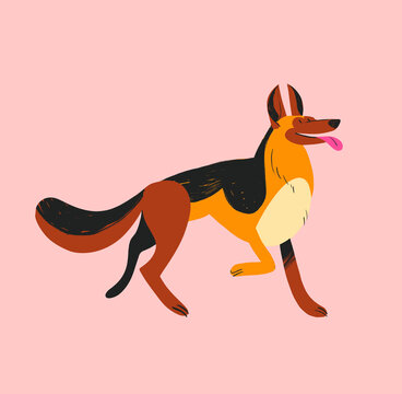 German Sheperd