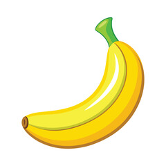 Vector of illustration Banana on white