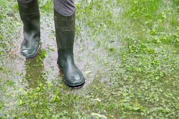 The person walks on water. Legs in wellies or gumboots. The garden is flooded. Consequences of...