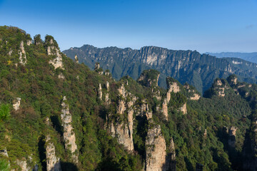 Fototapeta premium Awesome view of natural quartz sandstone pillars of the Tianzi Mountains (Avatar Mountains)