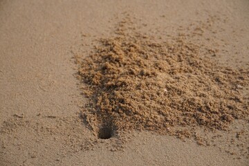 a hole inside the sand photo