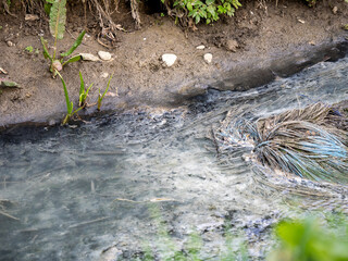 The river is a sad sight that shows the impact of human activity on nature. It is a narrow and shallow channel that carries polluted water.