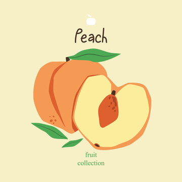 Peaches. Whole and half of peach on beige background.  Colorful hand drawn vector illustration of fruits for textiles, cards, posters, prints