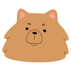 Pomeranian Head 1 cute on a white background, vector illustration.
