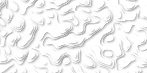 3d render, abstract white paper background. Paper cut vector art background banner texture. multi layer cutout geometric pattern on vector, Abstract soft white background with waves.	