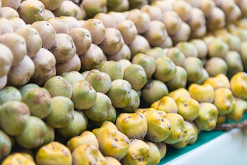 Closeup to Lontar palm in front store 