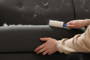 Pet shedding. Man with lint roller removing dog's hair from sofa, closeup
