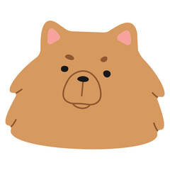 Pomeranian Head 1 cute on a white background, png illustration.