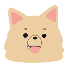 Chihuahua Head 2 cute on a white background, png illustration.