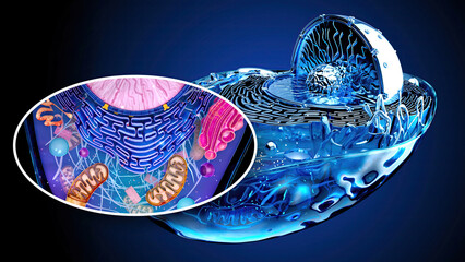 4K abstract illustration of the biological cell and the mitochondria