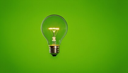 Light bulb with a green world map, on a green background. World Earth Day, environmental protection, renewable energy, does not harm the environment. Earth Hour. Concept of saving the world.