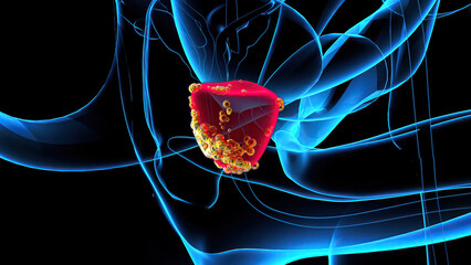 4K abstract 3D illustration of the prostate - obrazy, fototapety, plakaty