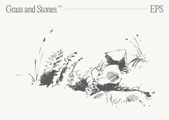 Hand drawn vector illustration of grass and rocks on blank backdrop. Isolated sketch. - 742829739