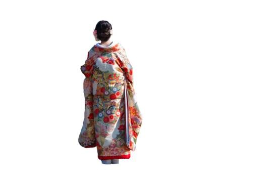 Rear view of a young bride in Japan png isolated