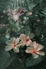 Tropical leaves and flowers background, with motion and soft dreamy focus.