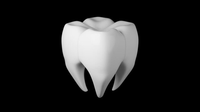 Molar Tooth Rotation Background With Seamless Loop 3D Rendering Animation. Healthy Dental Concept