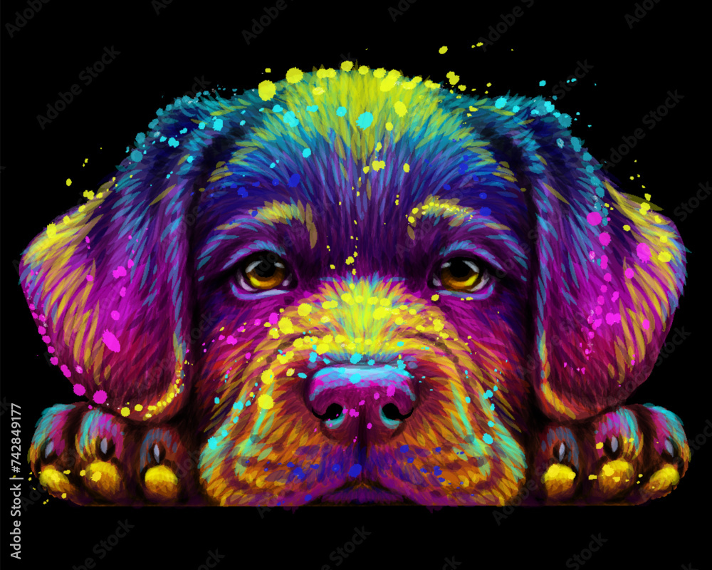 Wall mural abstract, multicolored portrait of a labrador puppy in watercolor style on a black background.