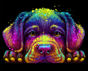 Abstract, multicolored portrait of a Labrador puppy in watercolor style on a black background.