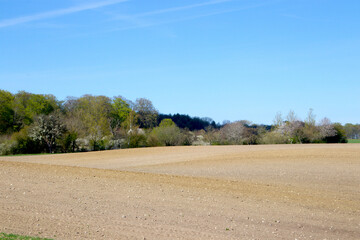 Fototapeta na wymiar New plowed field in sunshine in springtime