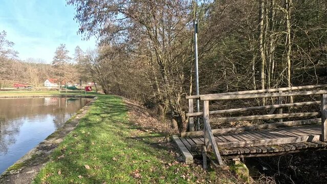 Wooden bridge and a clear stream in sunny forest