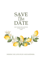 Wedding invitation. Lemon illustration. hand-drawn frame. - 742852376