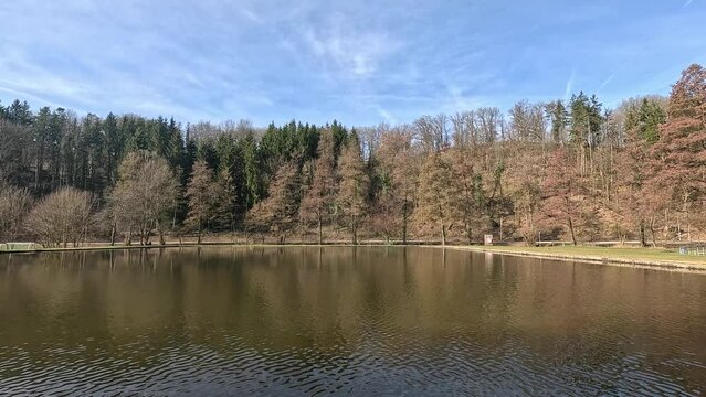 Lake in the forest reflects the trees in the water in the pool
