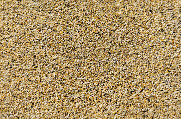 Texture of sand on beach. Background image for design. Beautiful beach sand texture as background