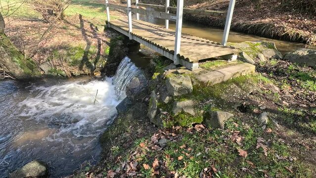 Wooden bridge and a clear stream in sunny forest