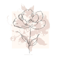 abstract peony flower ink sketch hand drawn illustration - 742868365