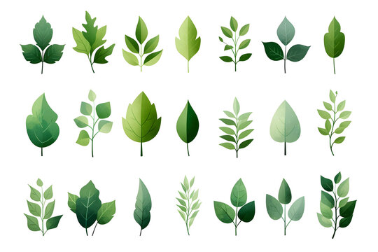 Fototapeta flat gradient icon set of leaves green color theme