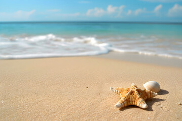 Fototapeta na wymiar Summer vacation at the sandy beach with seashells and starfish.